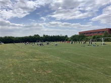 Striking & Fielding Festival