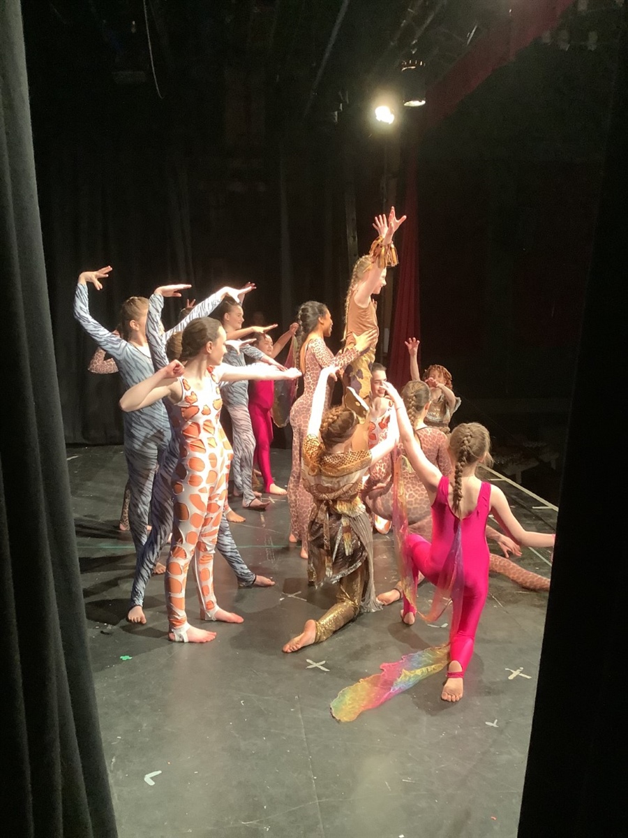 Dance Festival