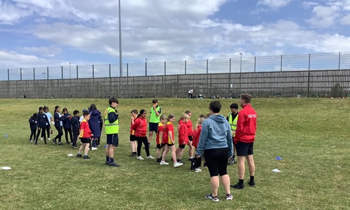 Striking & Fielding Festival