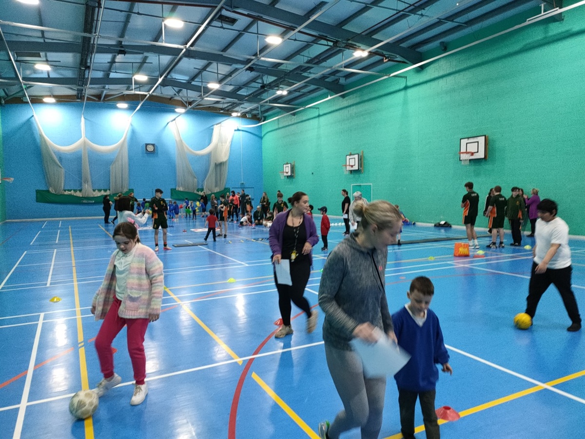Multi Skills Inclusion